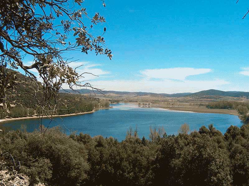 AGUELMAM TIFOUNASINE
